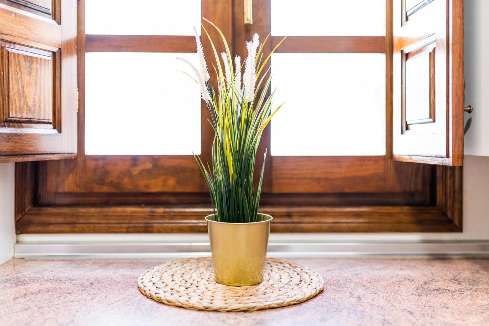 Wekey Homes Granada, El Encanto De Navas Centro エクステリア 写真